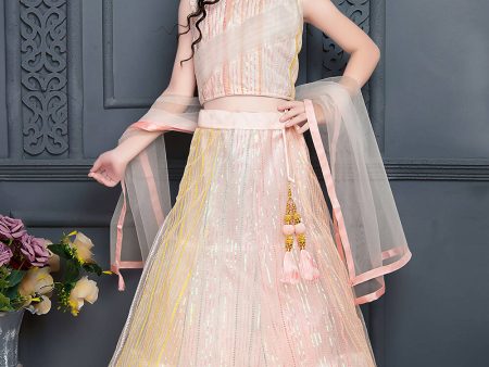 Kids Wedding Designer Light Pink Soft Net Lehenga Choli - Aaradhna Online Sale