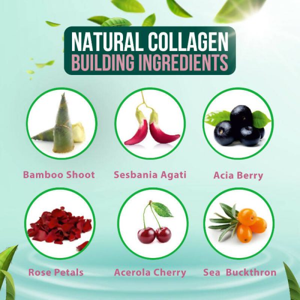 BM Wellness Vegan Collagen Booster - Blueberry Online now