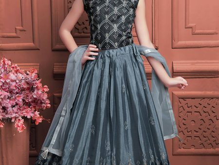 Kids Wedding Designer Grey Soft Chinon Silk Lehenga Choli - Aaradhna For Cheap